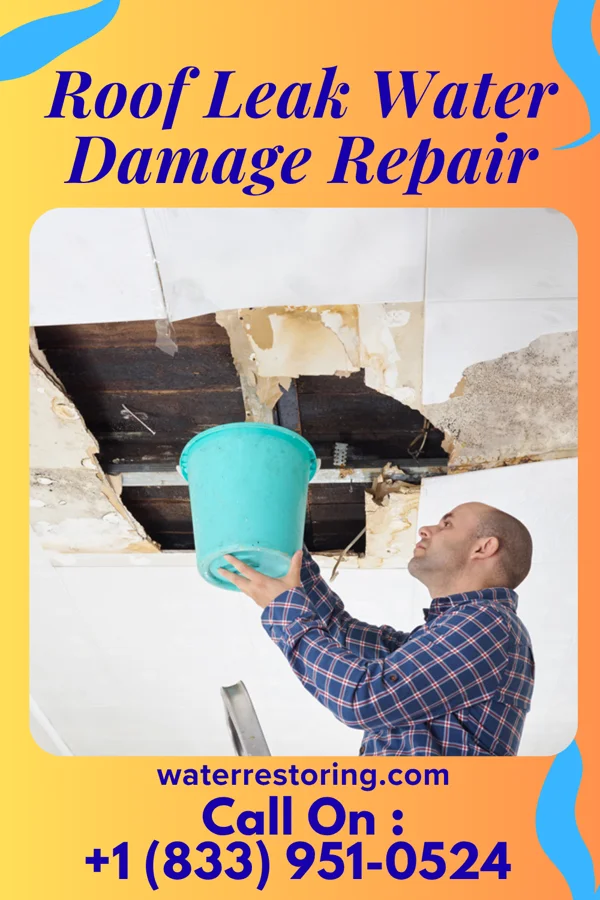 Roof Leak Water Damage Repair in Millersburg, MI