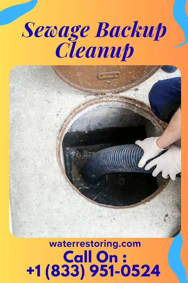 Sewage Backup Cleanup in Millersburg, MI